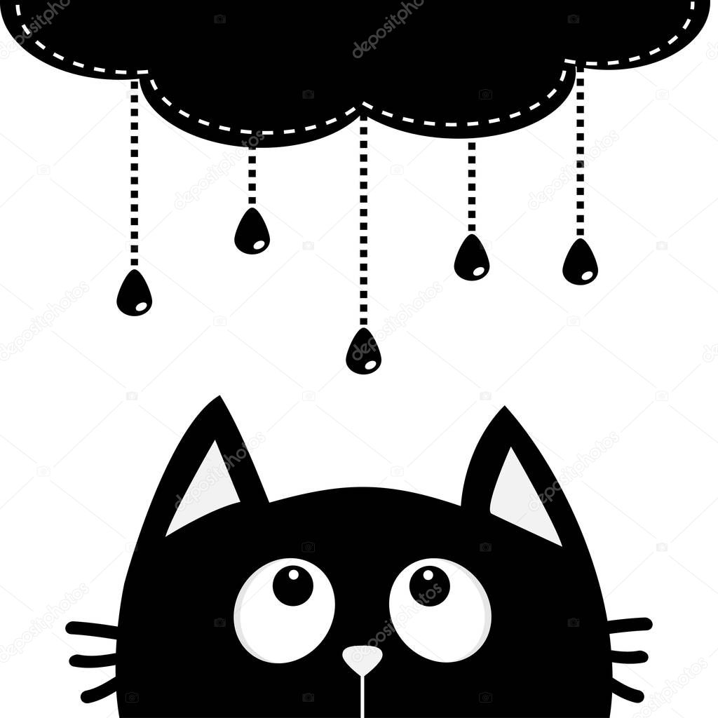 Cat looking up to cloud with drops