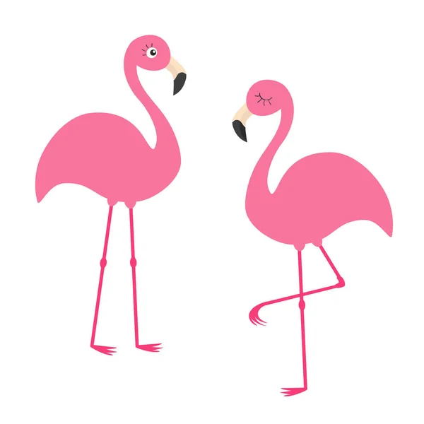 2 つのピンクのフラミンゴtvå rosa flamingo — Stock vektor