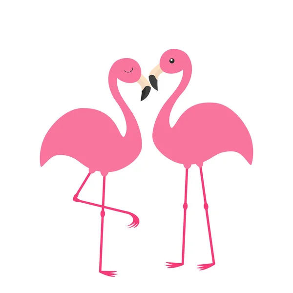 Zwei rosa Flamingo — Stockvektor