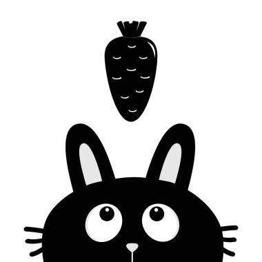 Siyah bunny ve havuç 