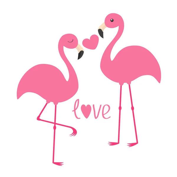 Roze flamingo paar en hart — Stockvector