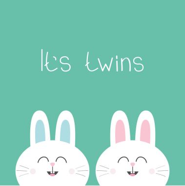 İki Kişilik bunny tavşan