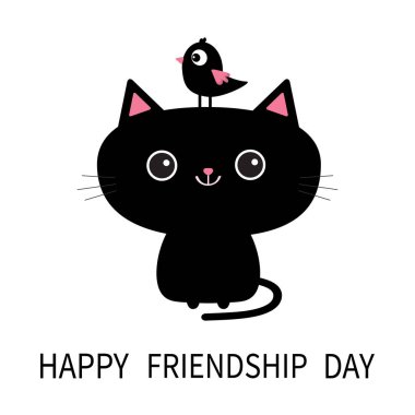 Kedi başına oturan kuş  