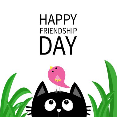 siyah kedi kafasına kuş için seyir