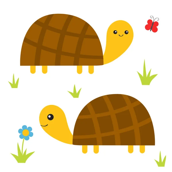 Turtle family on meadow — Stock Vector