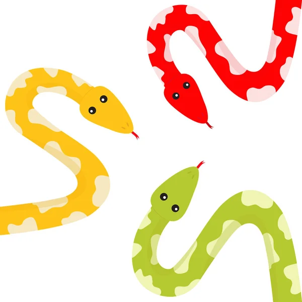 Colorful python snakes — Stock Vector