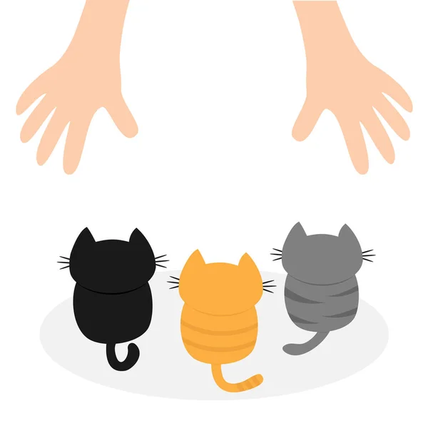 人間の手を見上げる子猫 — ストックベクタ