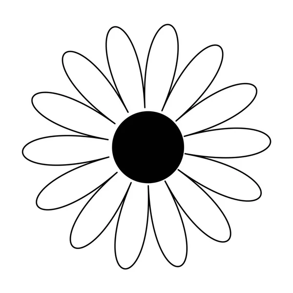 Daisy chamomile shape — Stock Vector