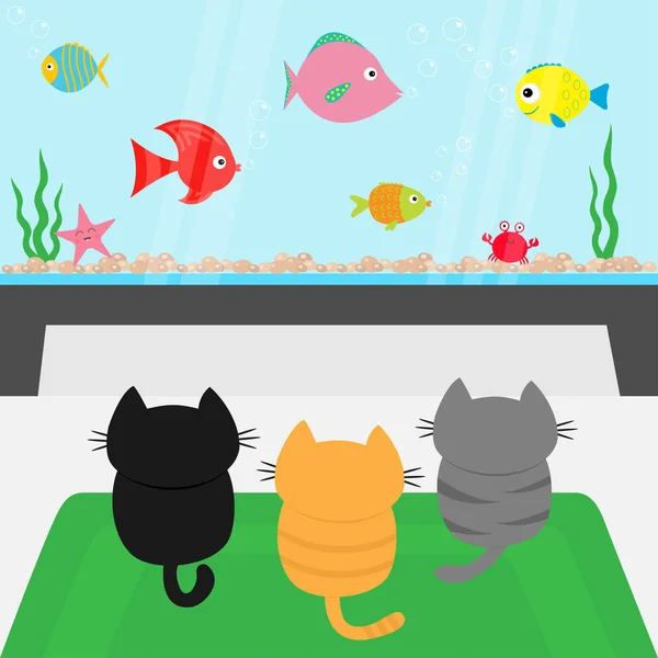 Kittens on rug looking to big aquarium — Stock Vector