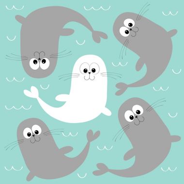 Deniz aslanı. Beyaz harp fok yavrusu. 