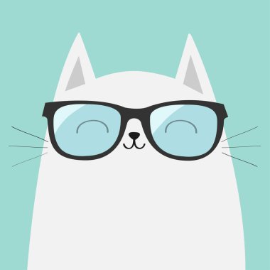 Güneş gözlüğü takmış beyaz kedi  