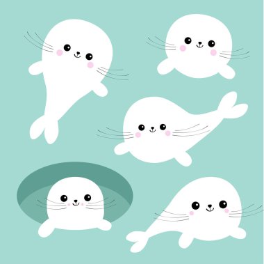 ARP bebek mühür yavru seti. 