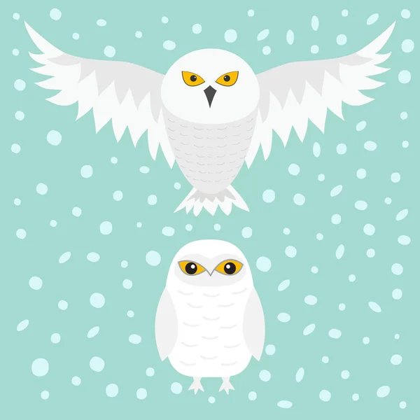 Cute Snowy Owl Drawing