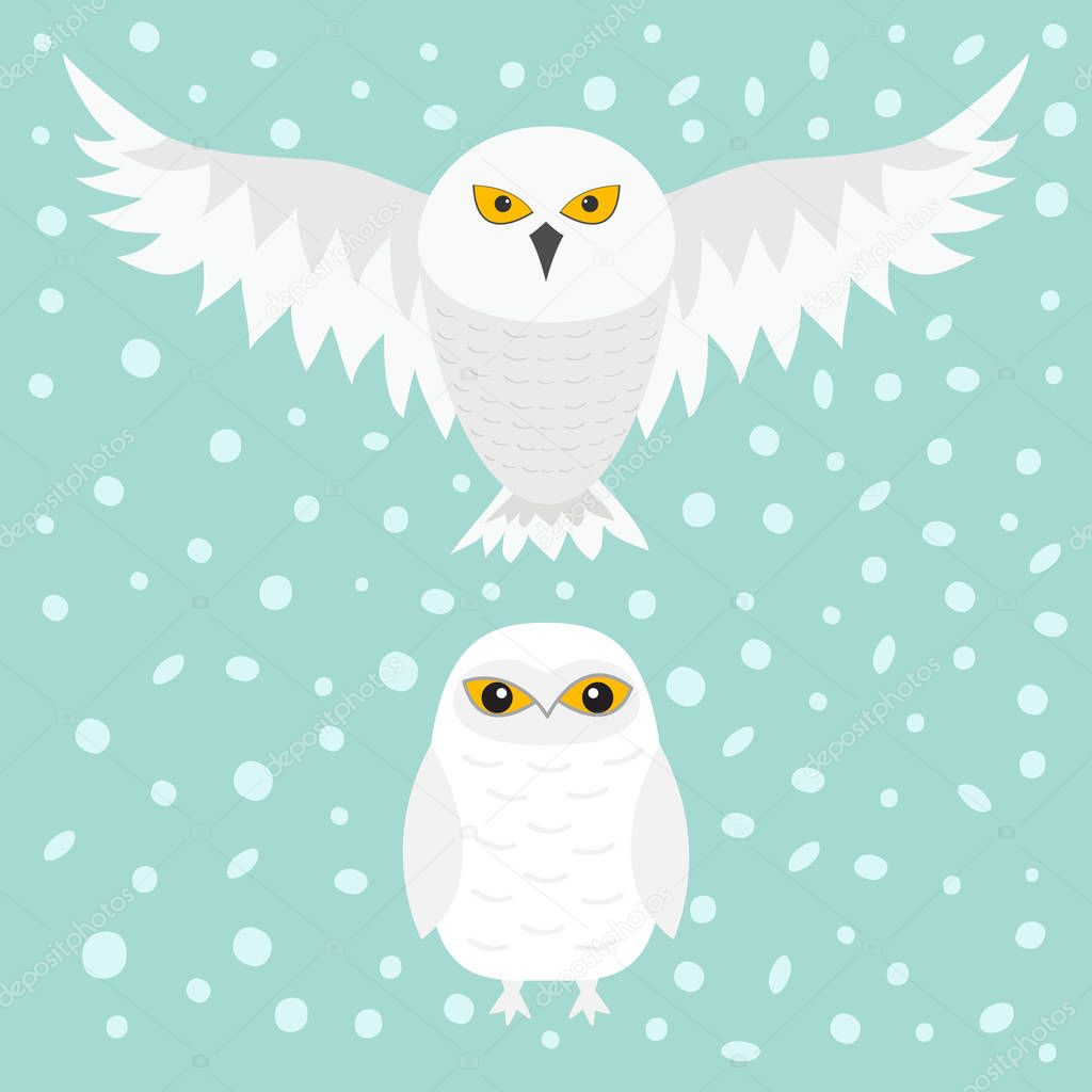 White Snowy owl. 