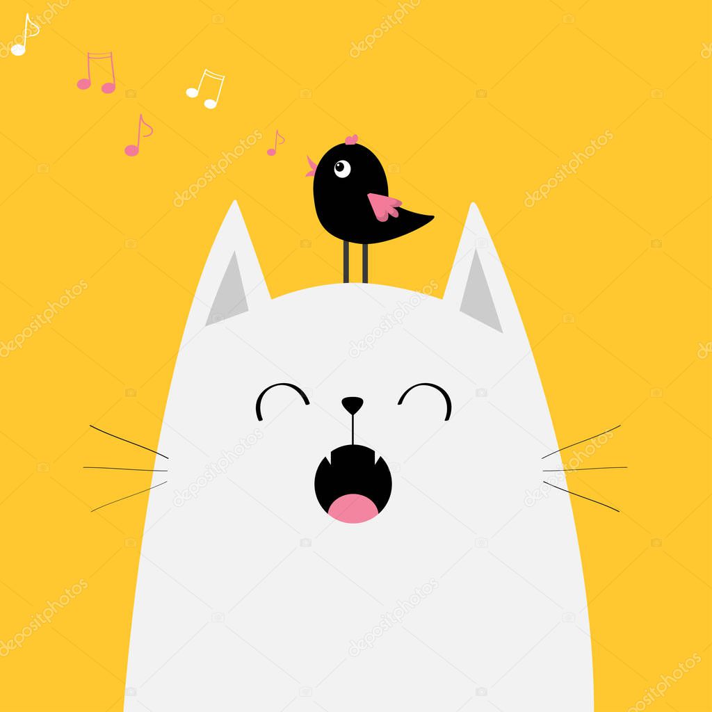 white cat with bird on head