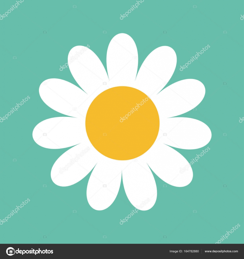 Image vectorielle Camomille de marguerite blanche . par ©worldofvector -  164782880, image size:1600x1700