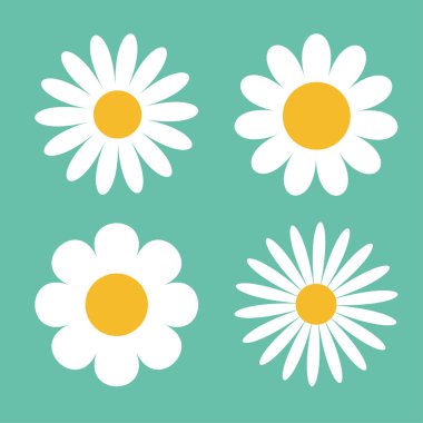 Papatya Icon set.