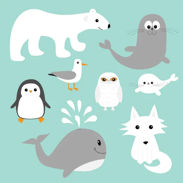 Arctic polar animals set. — Stock Vector