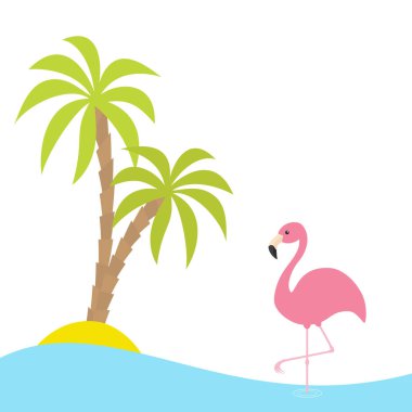 Pembe flamingo ayakta Adası yakınlarında