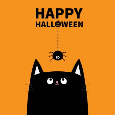 Siyah kedi ve örümcek