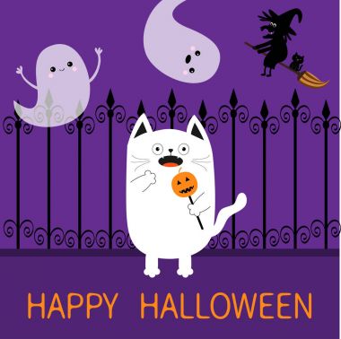 kedi holding kabak Stick