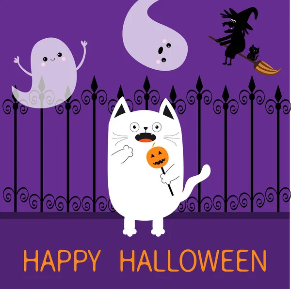 kedi holding kabak Stick