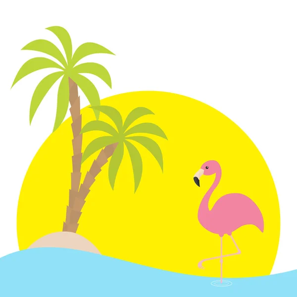 Roze flamingo- en palm bomen — Stockvector