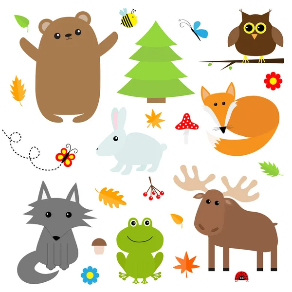 Forest animals and insects set — Stock Vector