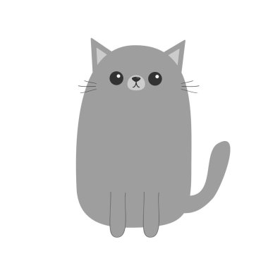 Gri kedi yavru kedi.