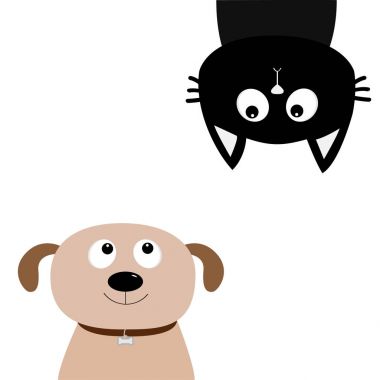 Baş aşağı kedi köpek