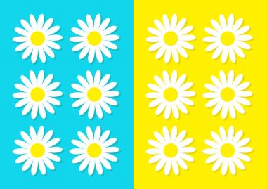 aşk kartı ile beyaz papatya papatya seti, vektör, illüstrasyon