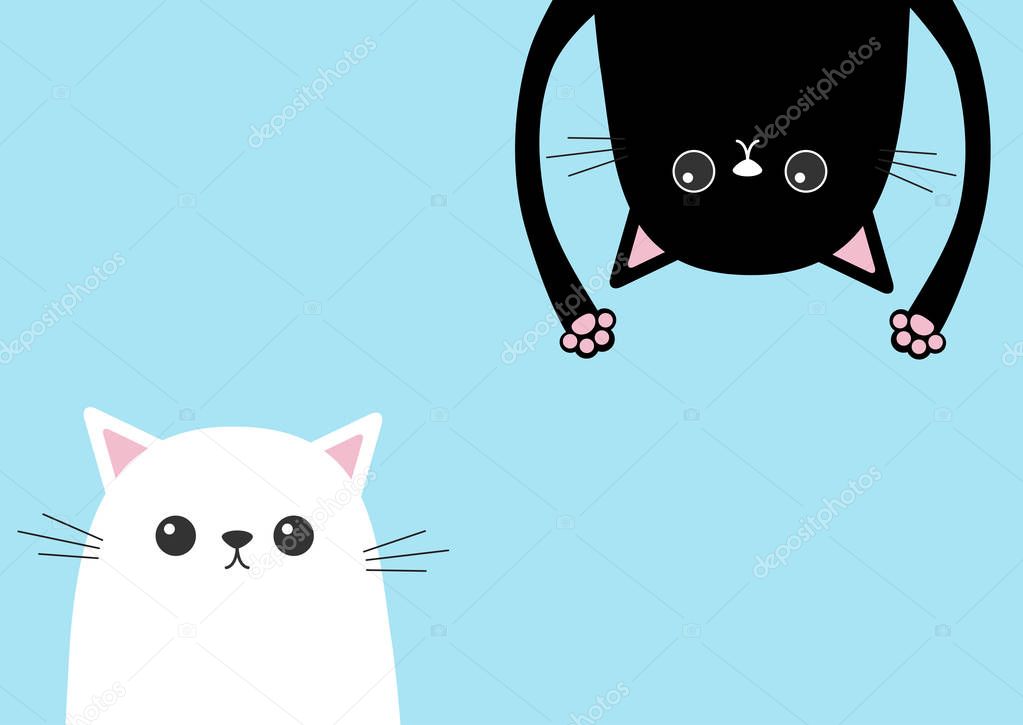 Cute cartoon cat characters  collection. Vector illustration 