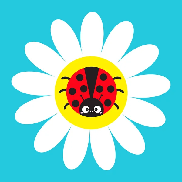 Ladybird Uğur Böceği Böcek Beyaz Papatya Papatya Üzerinde Oturuyor Papatya — Stok Vektör