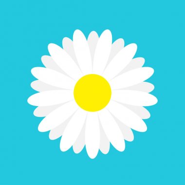 Beyaz papatya papatya marguerite simgesi. Sevimli çiçek bitki koleksiyonu. Aşk kartı. Papatya simgesi büyüme kavramı. Düz tasarım. Mavi arka plan. İzole. Vektör çizim