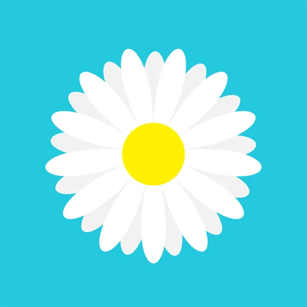 Witte Margriet Kamille Marguerite Pictogram Schattig Bloem Plant Collectie Kaart — Stockvector