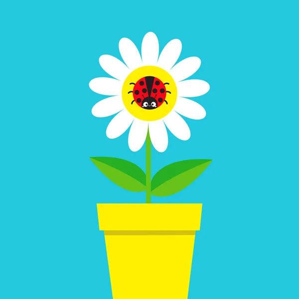 Ladybird Ladybug Insect Sitting White Daisy Chamomile Camomile Icon Cute — Stock Vector