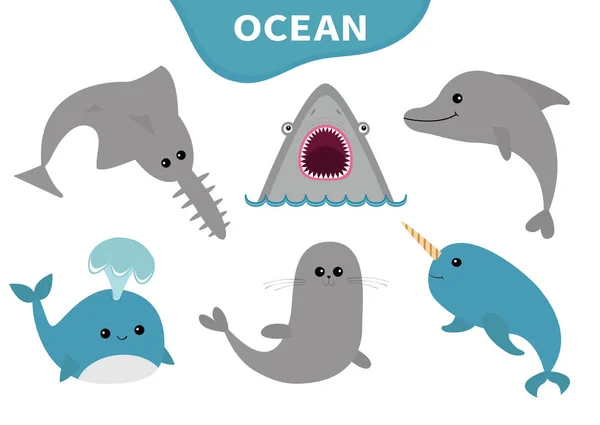 Morze Ocean Zwierzęta Fauna Ikona Zestawu Płetwal Błękitny Sawshark Delfin — Wektor stockowy