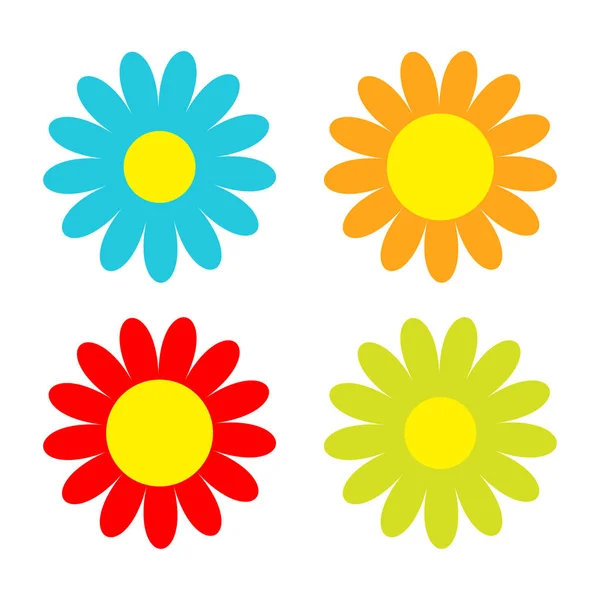 Modèle Avec Fleurs Camomille Marguerite Blanche Vecteur Illustration — Image vectorielle