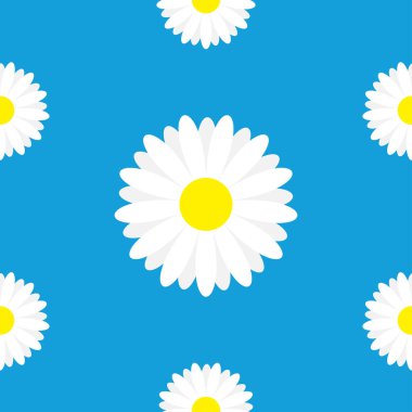 Beyaz papatya papatya çiçeği, vektör, illüstrasyon ile Seamless Modeli