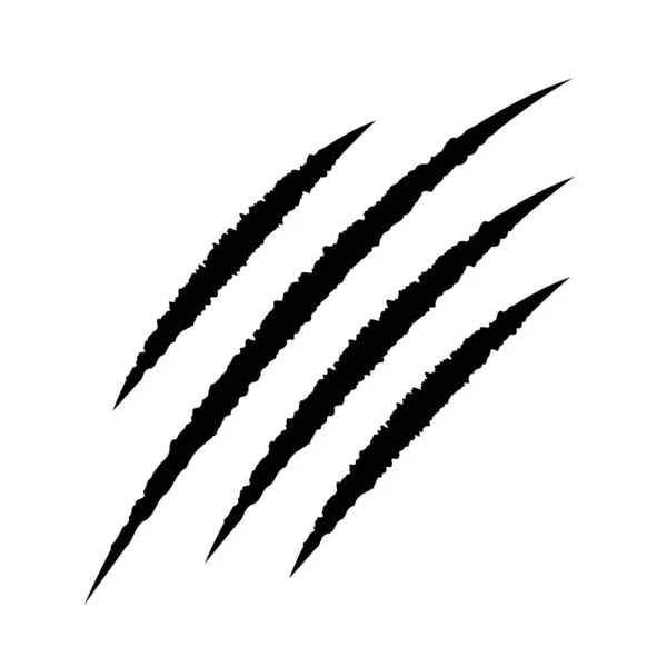 Kara pençeli hayvan tırmalama izleri. Kedi yavrusu kaplan pençesini tırmalıyor. Dört çivi izi. Sevimli komik tasarım elemanı. Düz dizayn. Beyaz arka plan. İzole edilmiş.