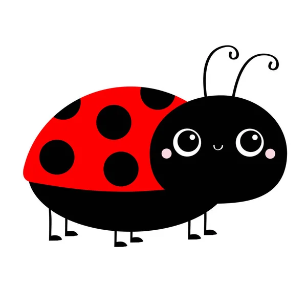 Lady Bug Nyckelpiga Insekt Ikon Tryck Sidovy Söt Tecknad Kawaii — Stock vektor