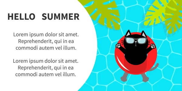 Kucing Hitam Mengambang Kolam Merah Mengapung Lingkaran Air Halo Summer - Stok Vektor