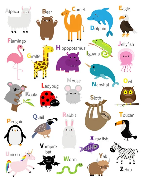 Animal Zoo Abc Alfabeto Lindo Conjunto Dibujos Animados Educación Infantil — Vector de stock