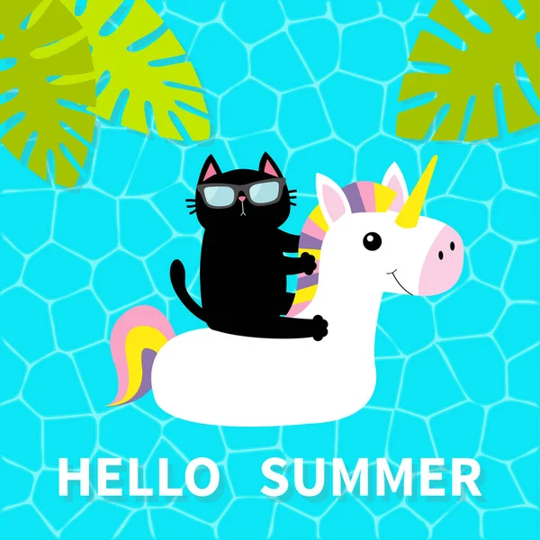 Ahoj Summer Voda Bazénu Černá Kočka Plovoucí Bílém Jezírku Jednorožci — Stockový vektor