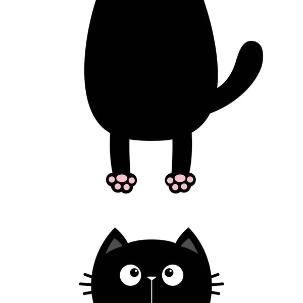 Black Cat Looking Funny Face Head Silhouette Hanging Fat Body — Stock Vector