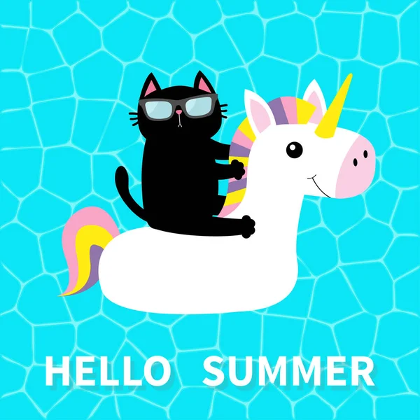 Halo Summer Air Kolam Renang Kucing Hitam Mengambang Kolam Renang - Stok Vektor