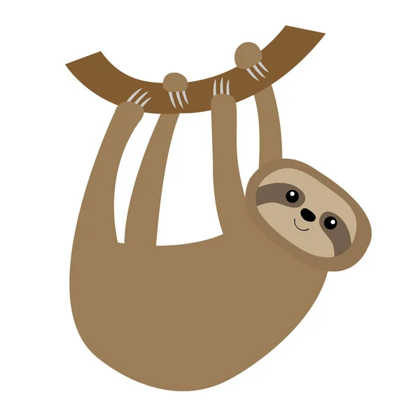 Sloth Accroché Icône Branche Arbre Mignon Personnage Dessin Animé Kawaii — Image vectorielle