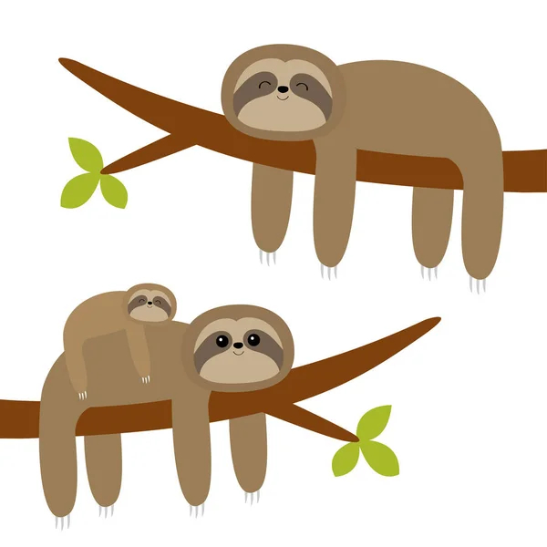 Sloth Accroché Sur Feuille Branche Arbre Mignon Dessin Animé Kawaii — Image vectorielle