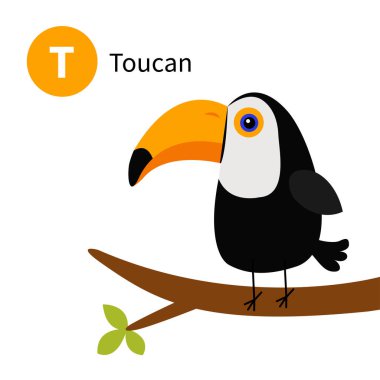 T. Toucan harfi. Toco. Büyük gaga. Egzotik tropikal kuş. Hayvanat bahçesi hayvan alfabesi. Şirin kawaii çizgi filmiyle İngiliz alfabesi komik bebek hayvanlar. Çocuklar için eğitim kartları. Beyaz arka plan. Düz dizayn. Vektör