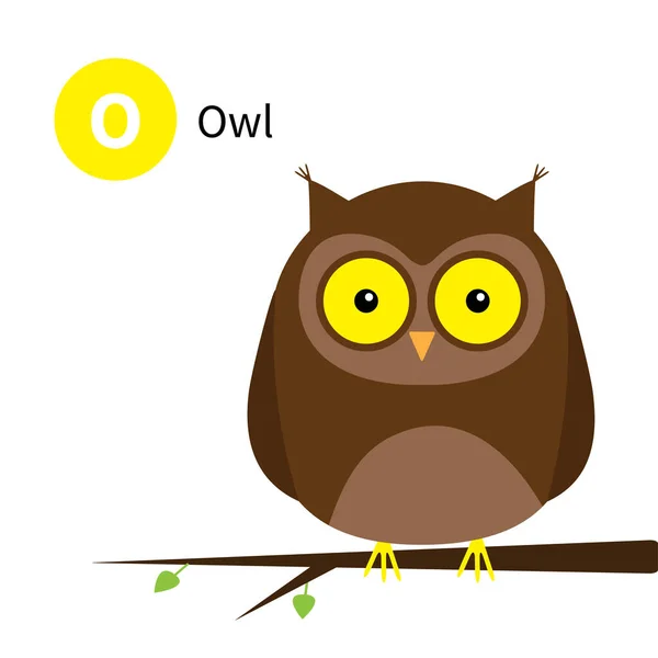 Lettre Owl Alphabet Animal Zoo Abc Anglais Avec Mignon Dessin — Image vectorielle